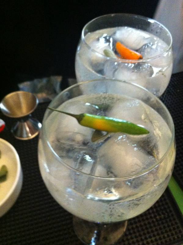 gin tonic perfecto